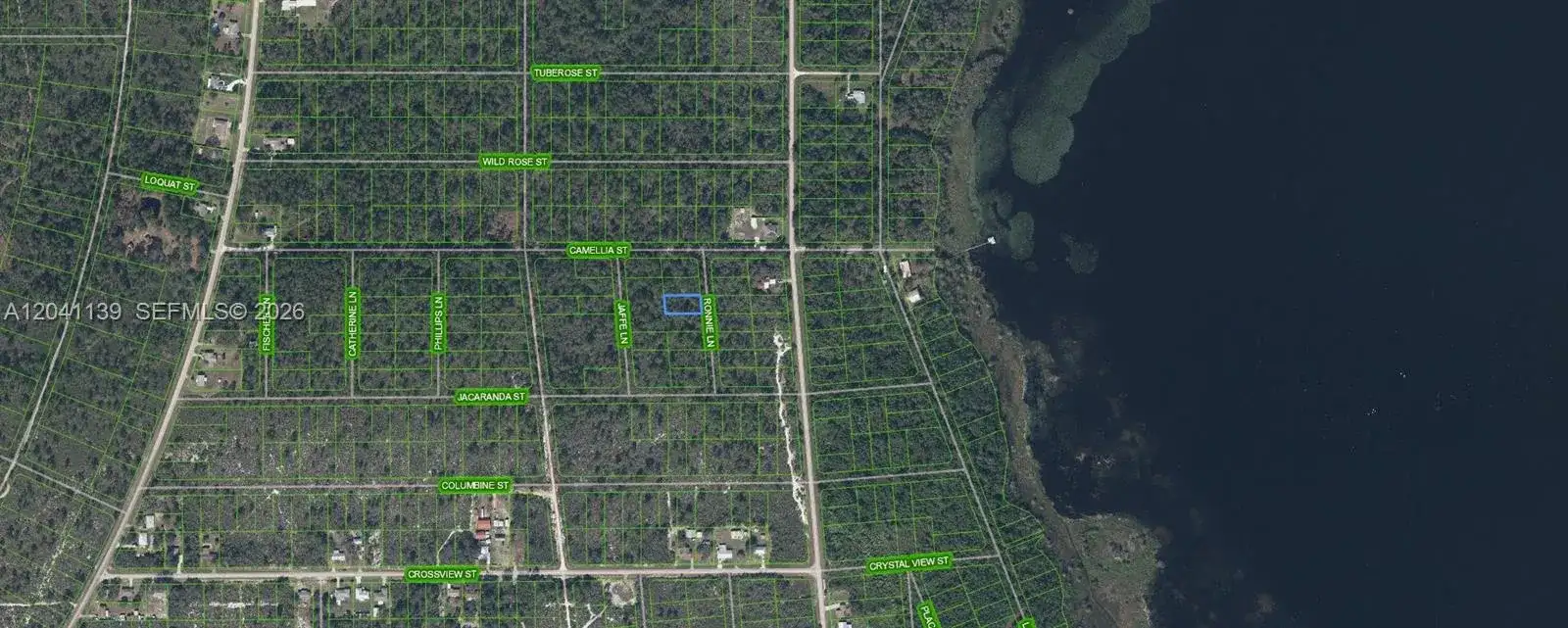 722 Ronnie Lane, Lake Placid FL 33852 photo 3
