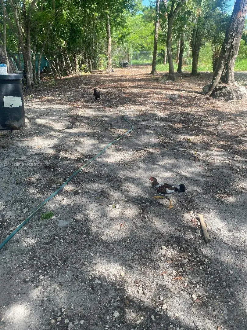23625 SW 125 AV, Homestead FL 33032