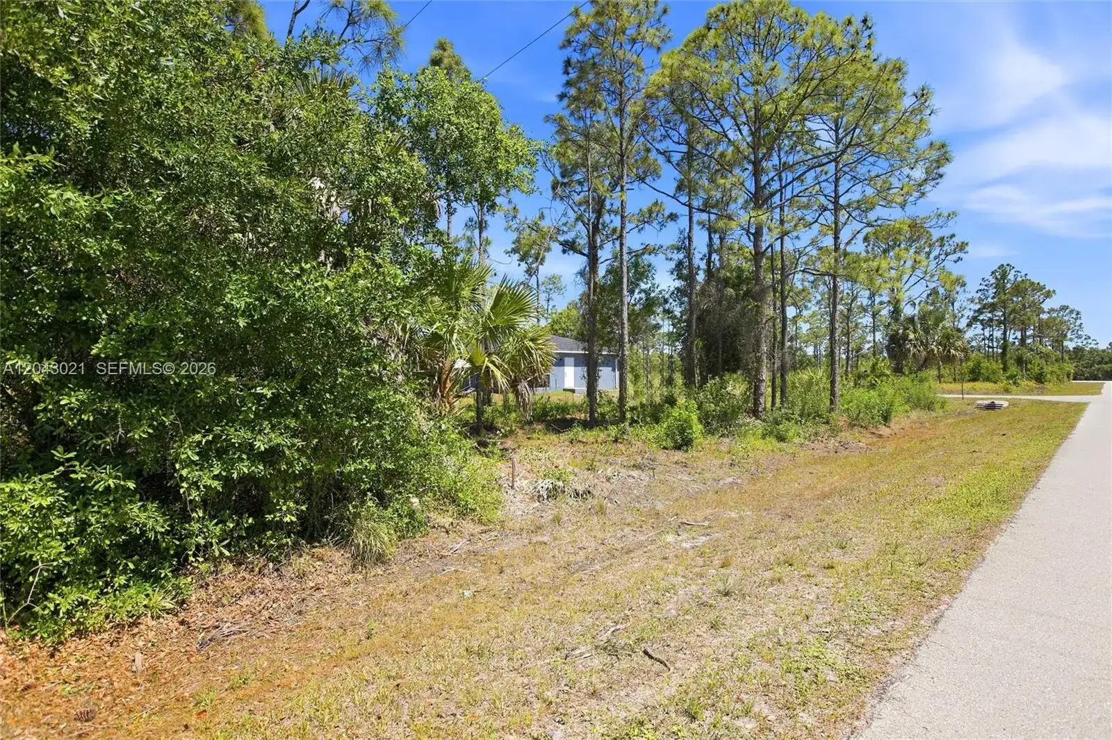 27396 Corinthian, Punta Gorda FL 33955 photo 2