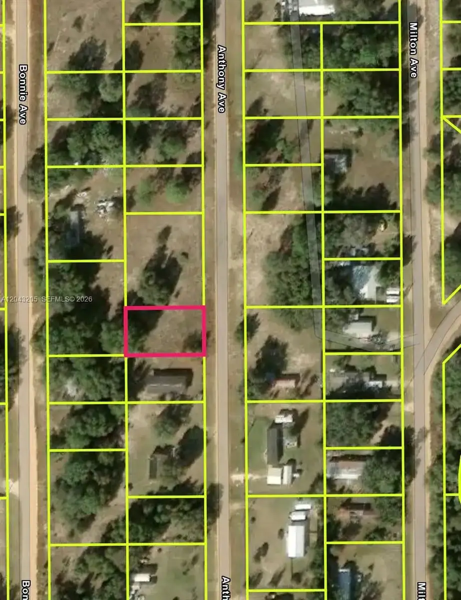 0 Anthony Ave, Other City - In The State Of Florida FL 32148 photo 2