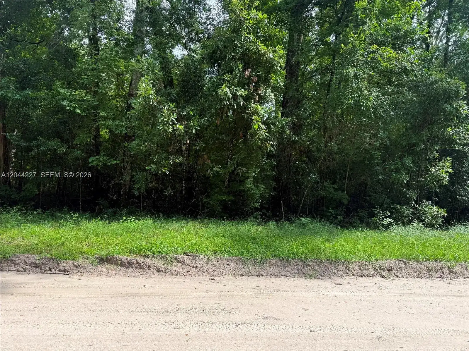 36 SW Bumble Street Fort White, FL 32038 photo 2