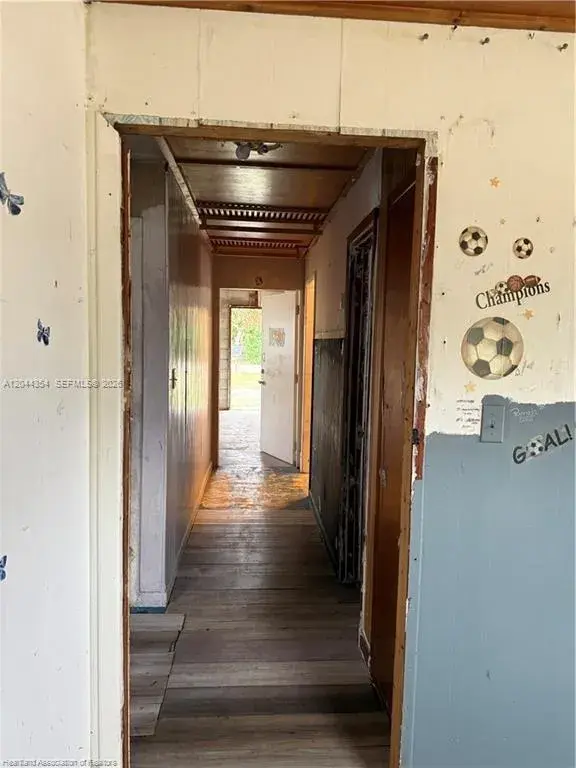 217 Palmetto St, Lake Placid FL 33852