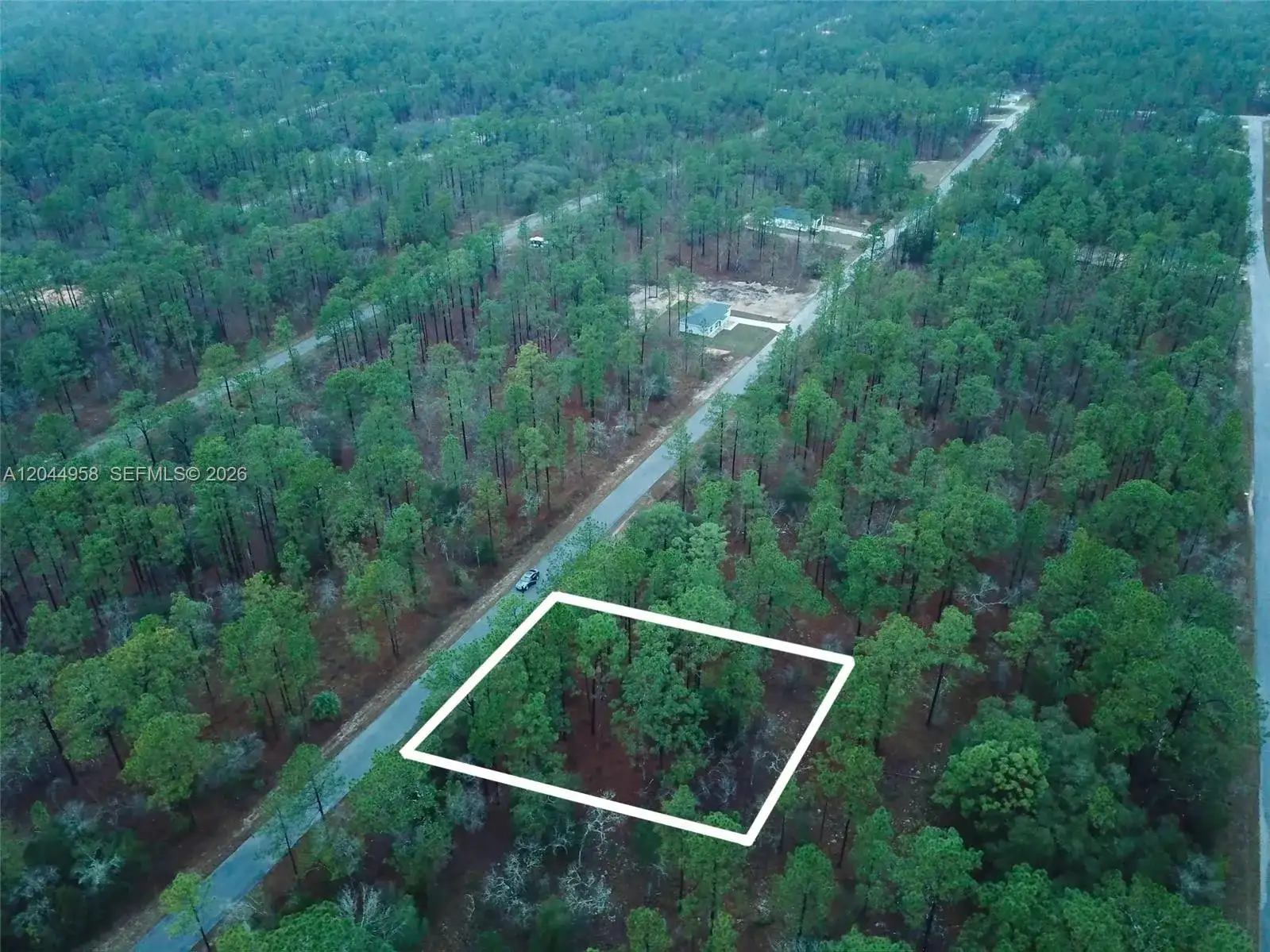 Lot Nearby Narcissus Rd, Other City - In The State Of Florida FL 34431 photo 2