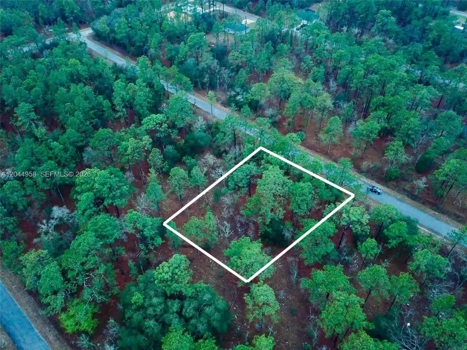 Lot Nearby Narcissus Rd, Other City - In The State Of Florida FL 34431 photo 4