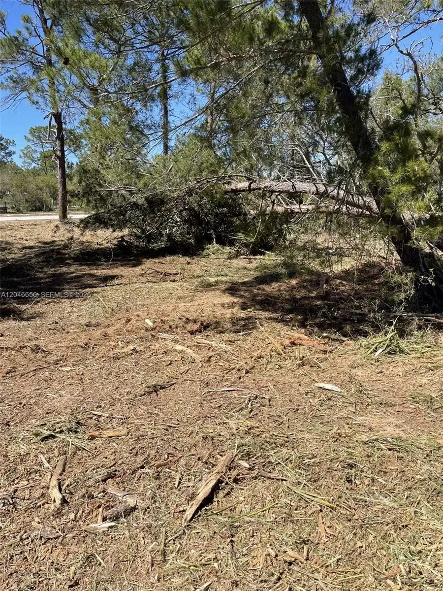3204 SR 66, Sebring FL 33185 photo 3