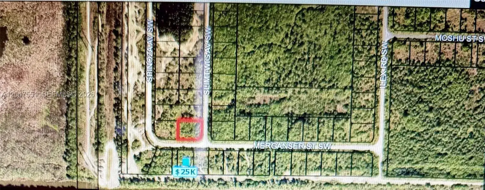 Merganser St SW & Slimtwig Ave, Palm Bay FL 32908 photo 2