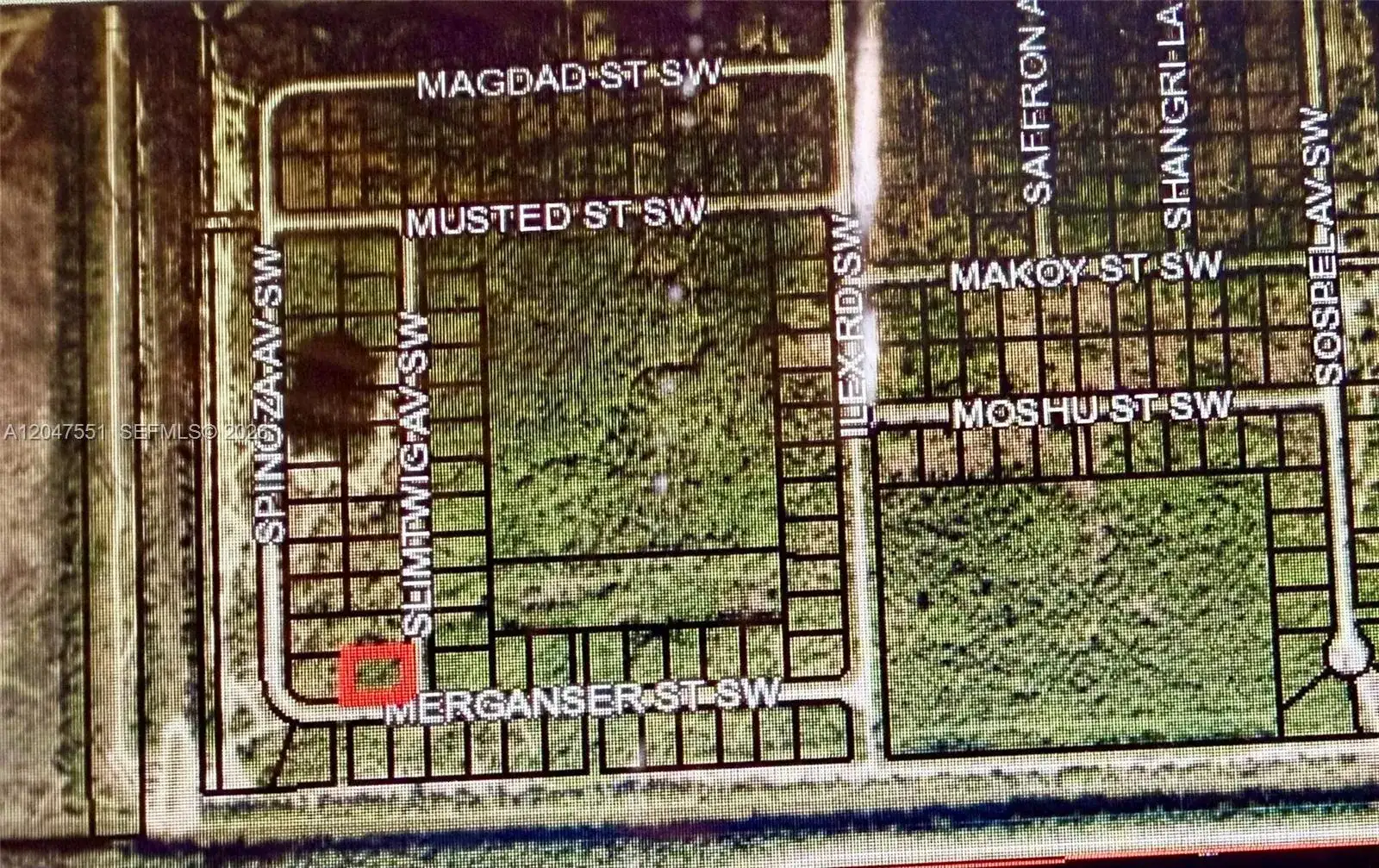 Merganser St SW & Slimtwig Ave, Palm Bay FL 32908 photo 4
