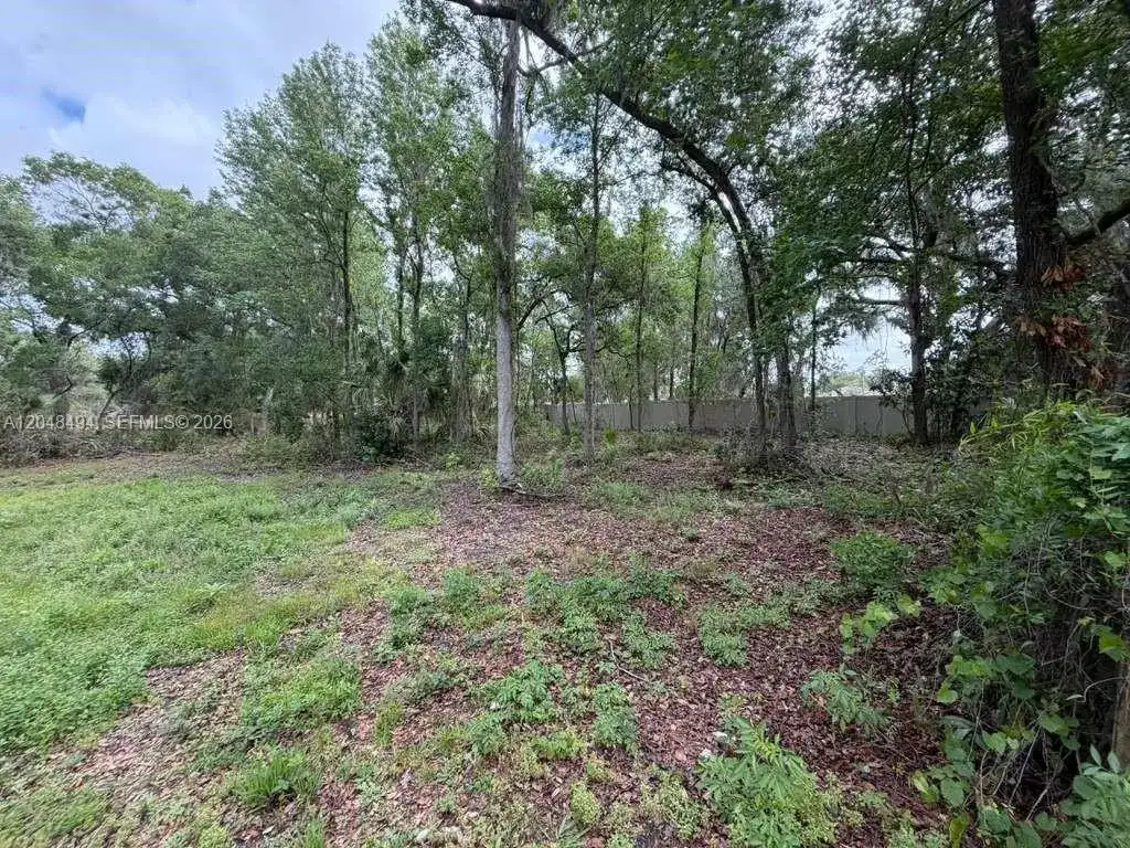 0 BAILEY RD, Other City - In The State Of Florida FL 33860 photo 4