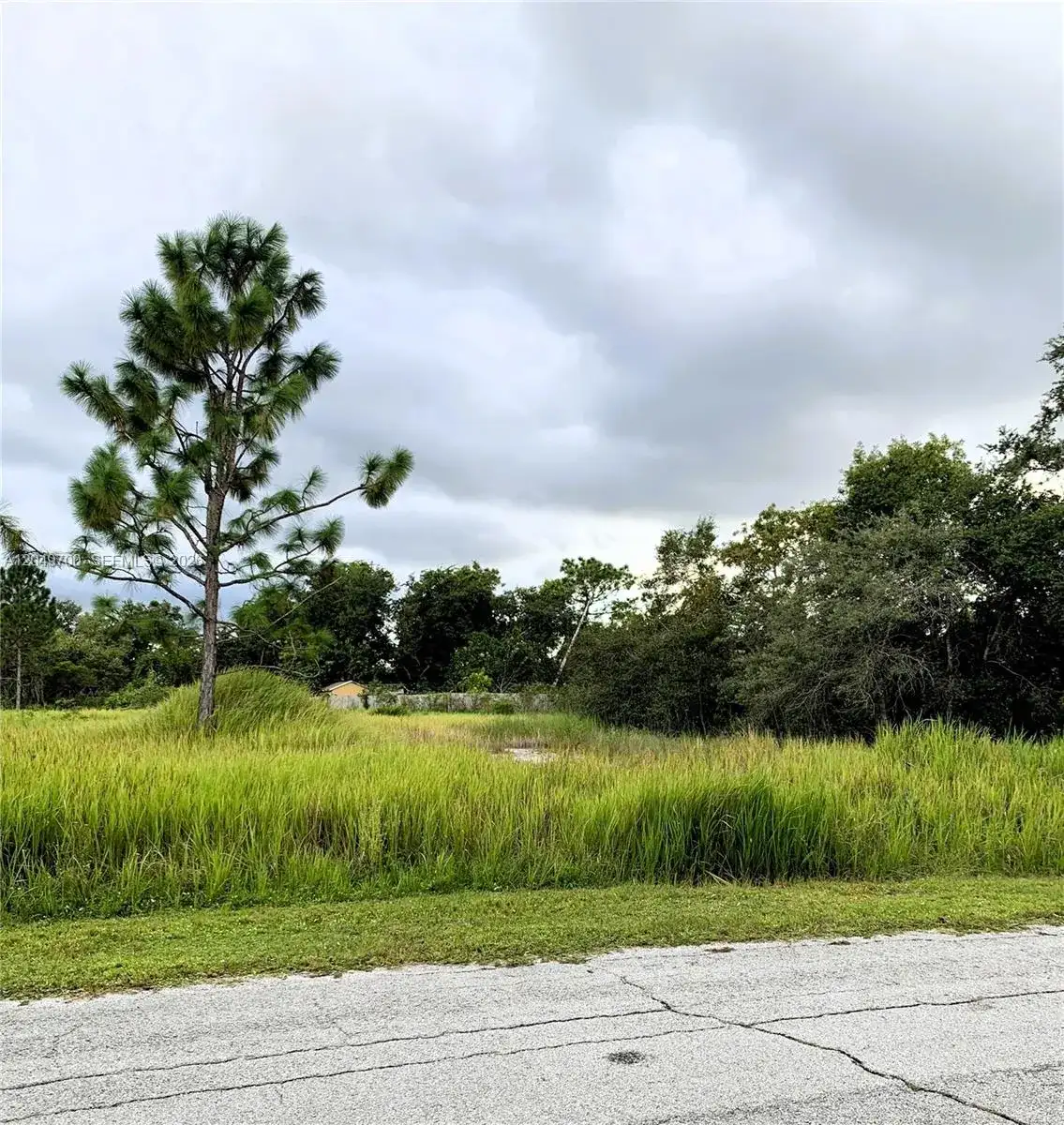 531 St Johns Ct, Kissimmee, FL 34759, Poinciana FL 34759 photo 5