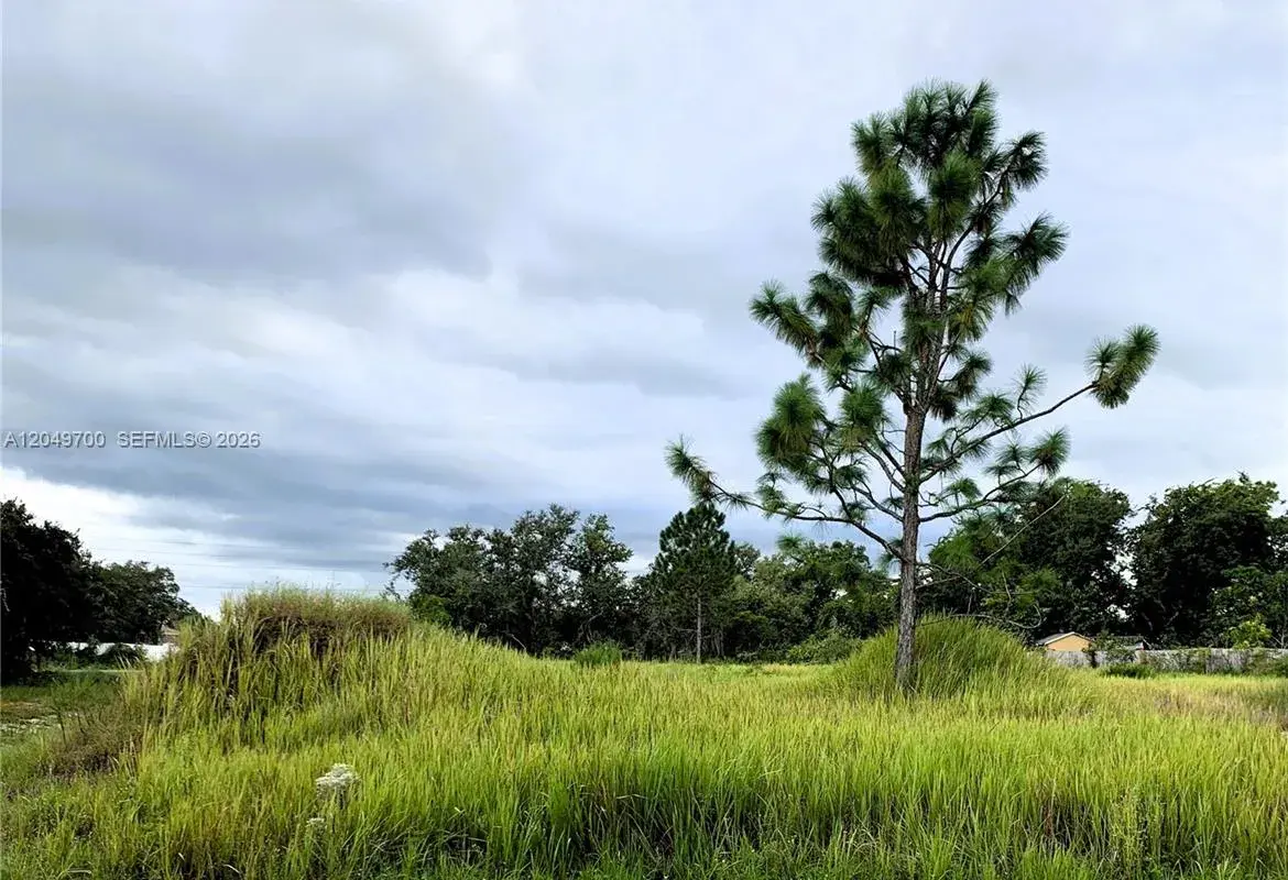 531 St Johns Ct, Kissimmee, FL 34759, Poinciana FL 34759