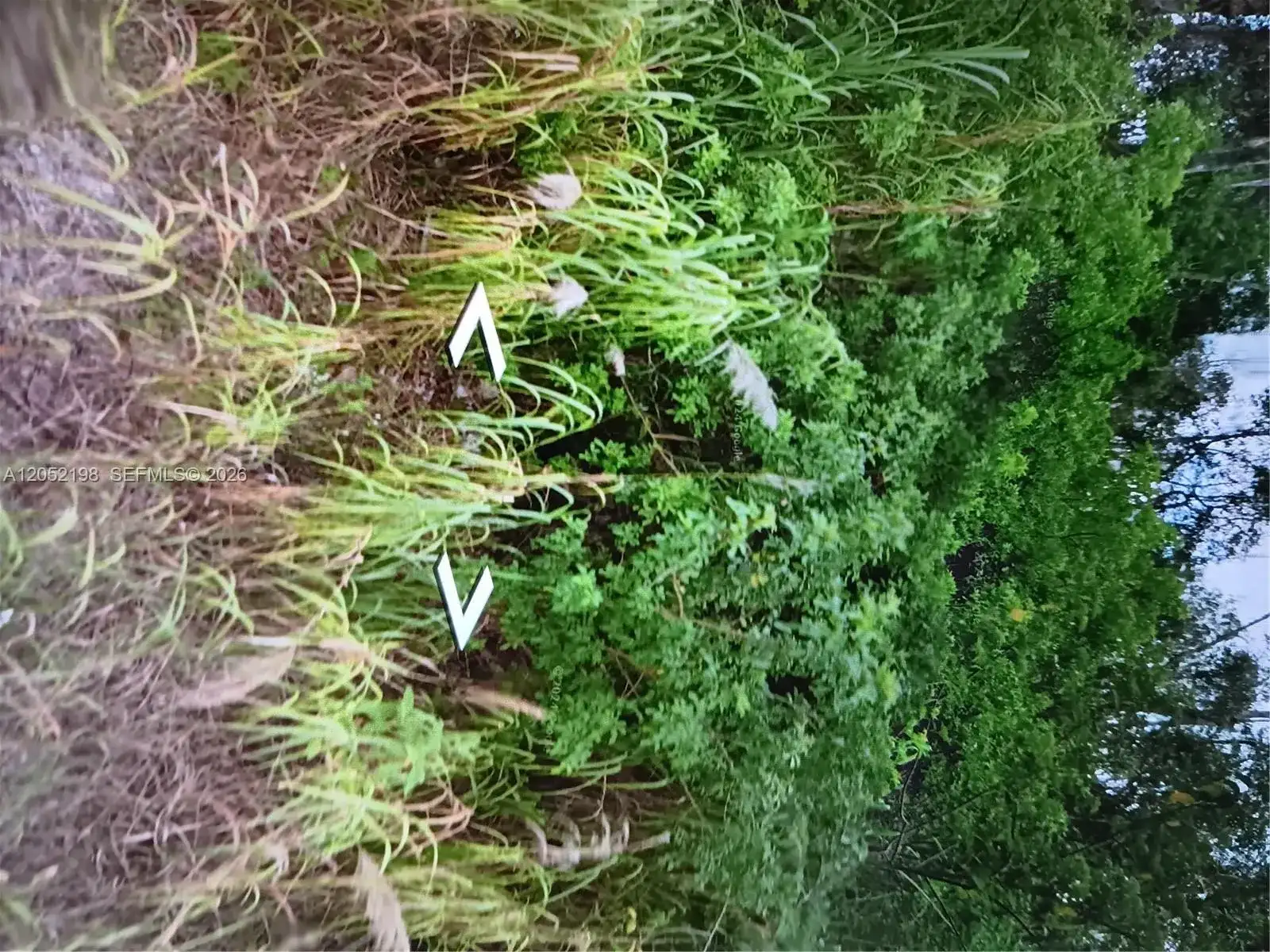 54xx St. NW 119th Ave., Unincorporated Dade County FL 33178 photo 3