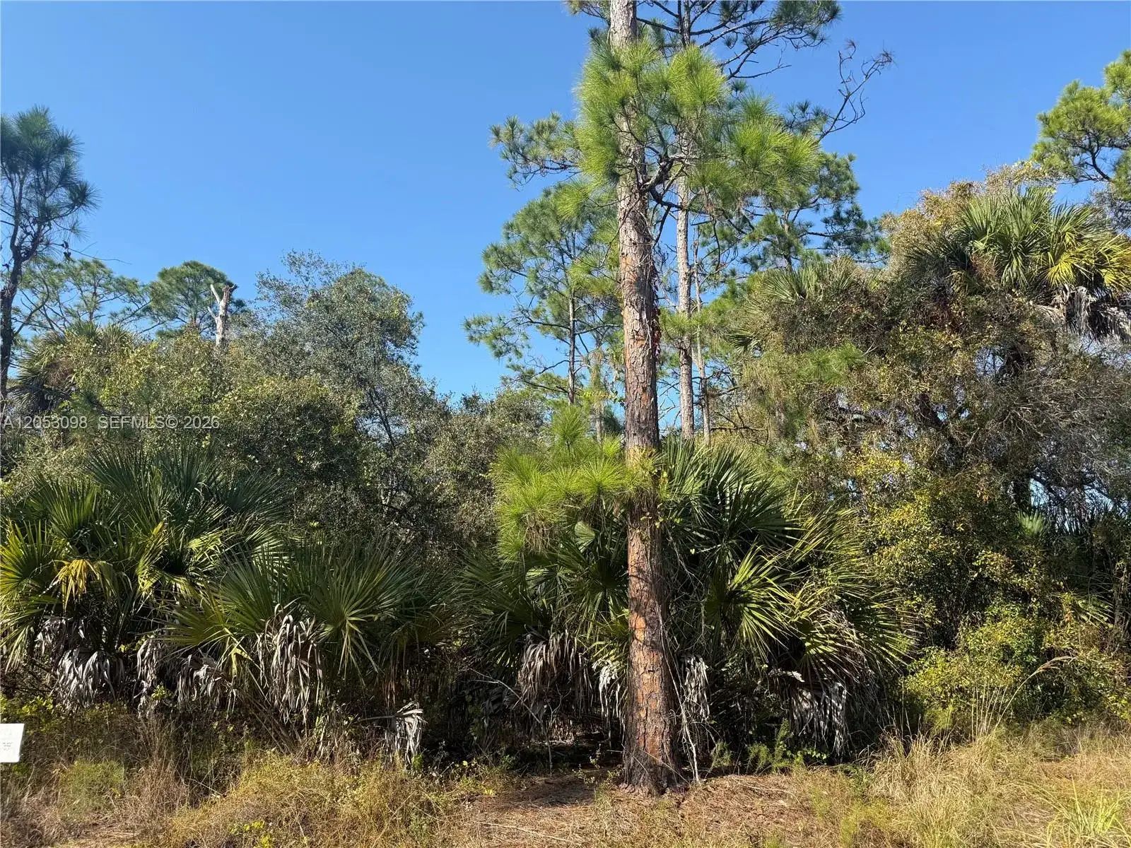 740 S LINDERO ST, Clewiston FL 33440 photo 4