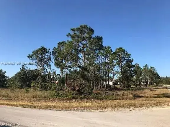 726 S Gaylord Avenue, Lehigh Acres FL 33974