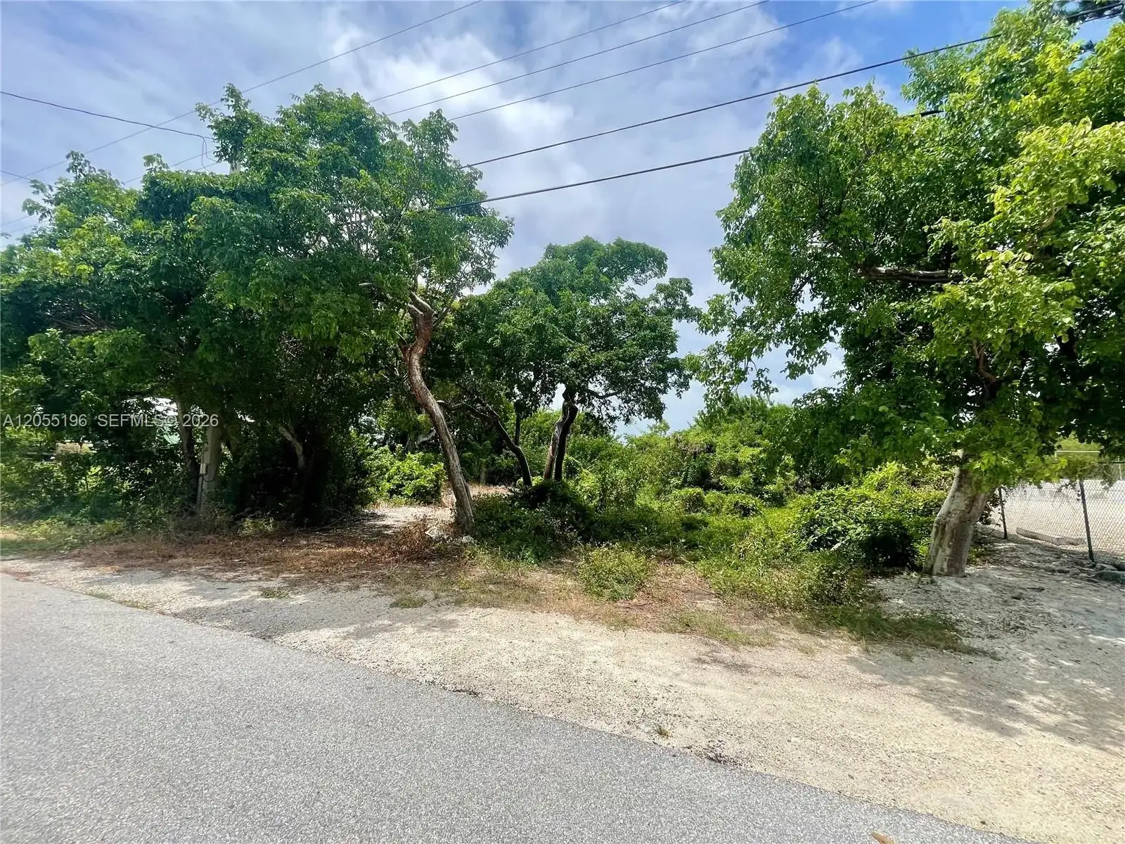175 Plantation Shores Dr, Plantation Key FL 33070 photo 5