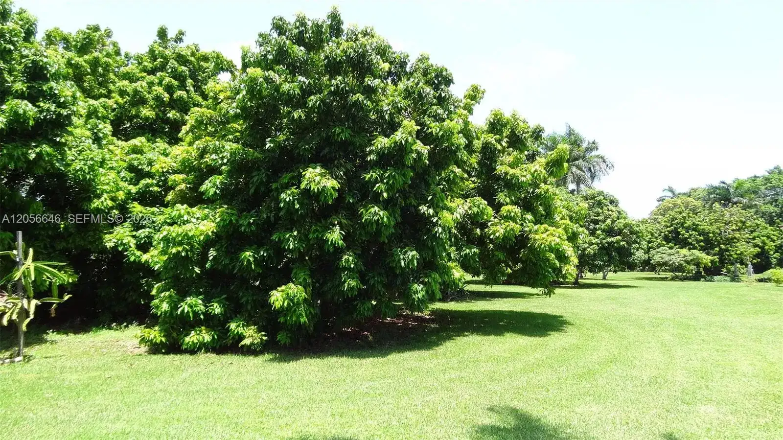 4 Av NE 152 St, Biscayne Gardens FL 33162 photo 2