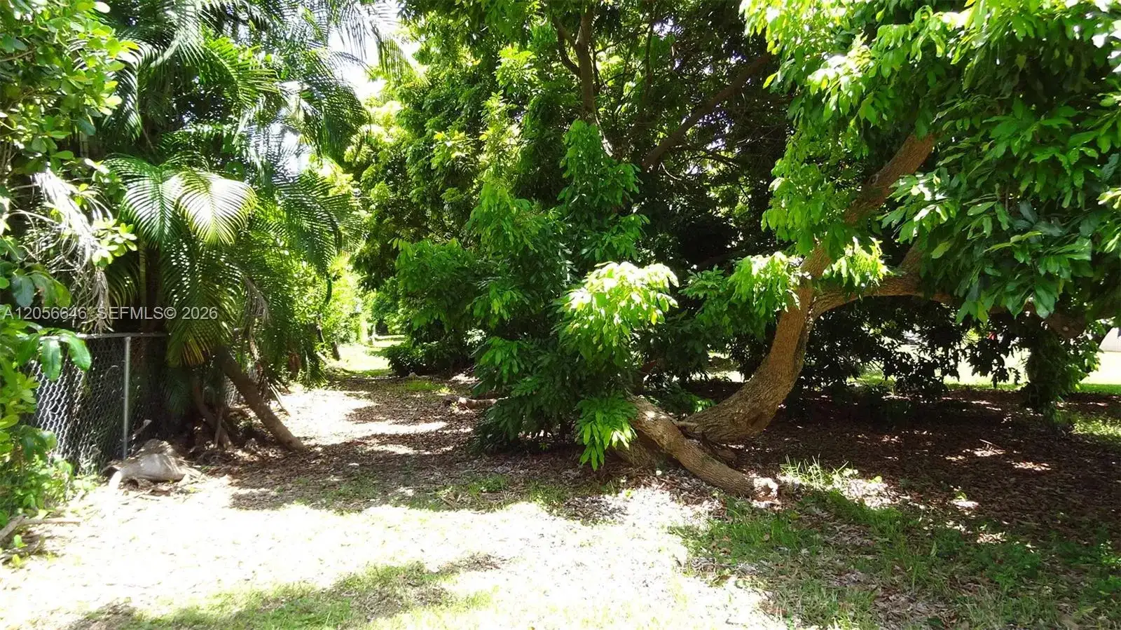 4 Av NE 152 St, Biscayne Gardens FL 33162 photo 3