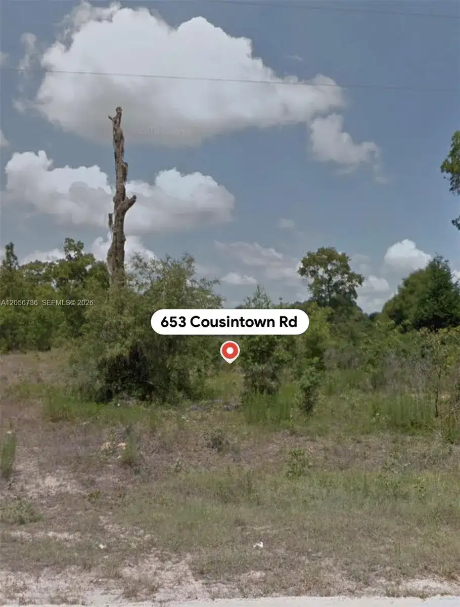 653 COUSINTOWN RD, Other City - In The State Of Florida FL 32148 photo 5