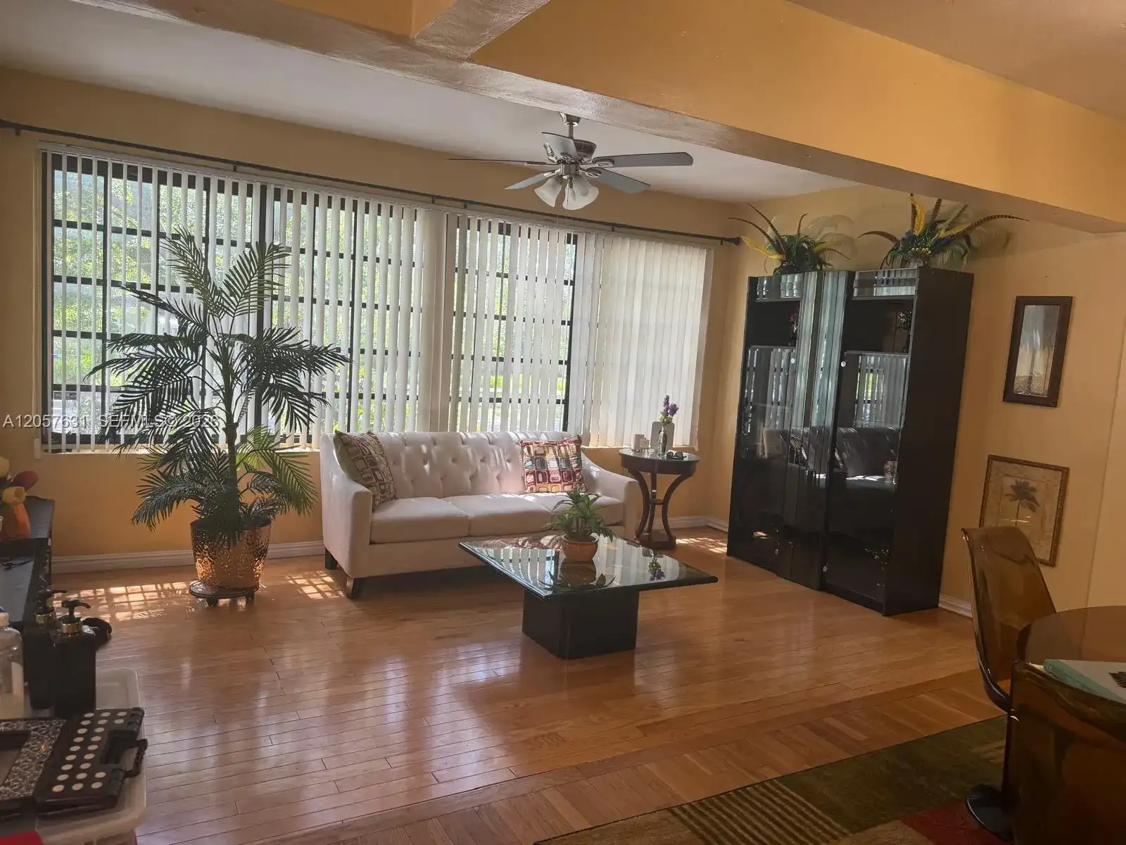 709 N 26th Ave, Hollywood FL 33020 photo 3