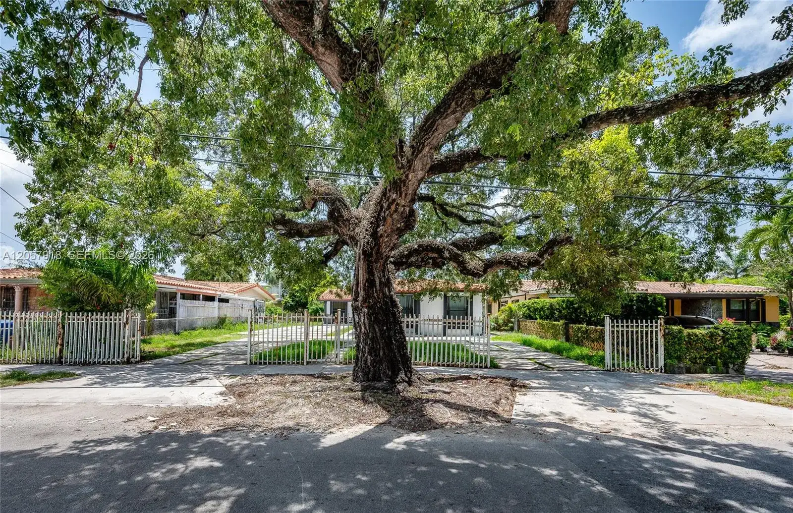 3000 NW 13th st, Miami FL 33125 photo 4
