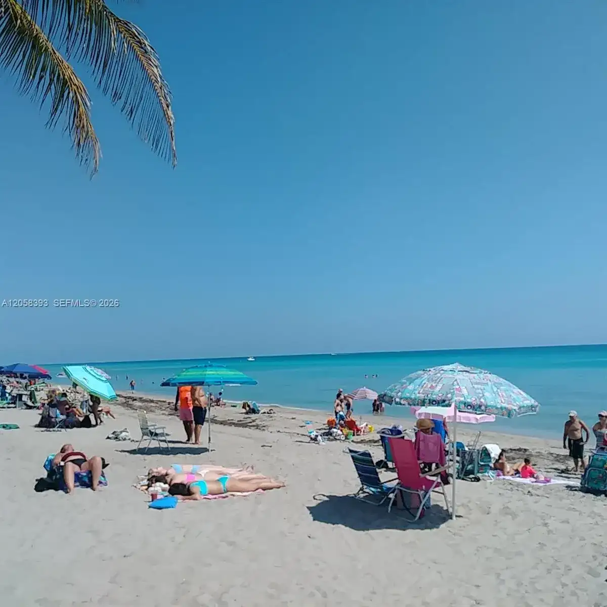 3135 S Ocean Dr # 227, Hallandale Beach FL 33009 photo 5