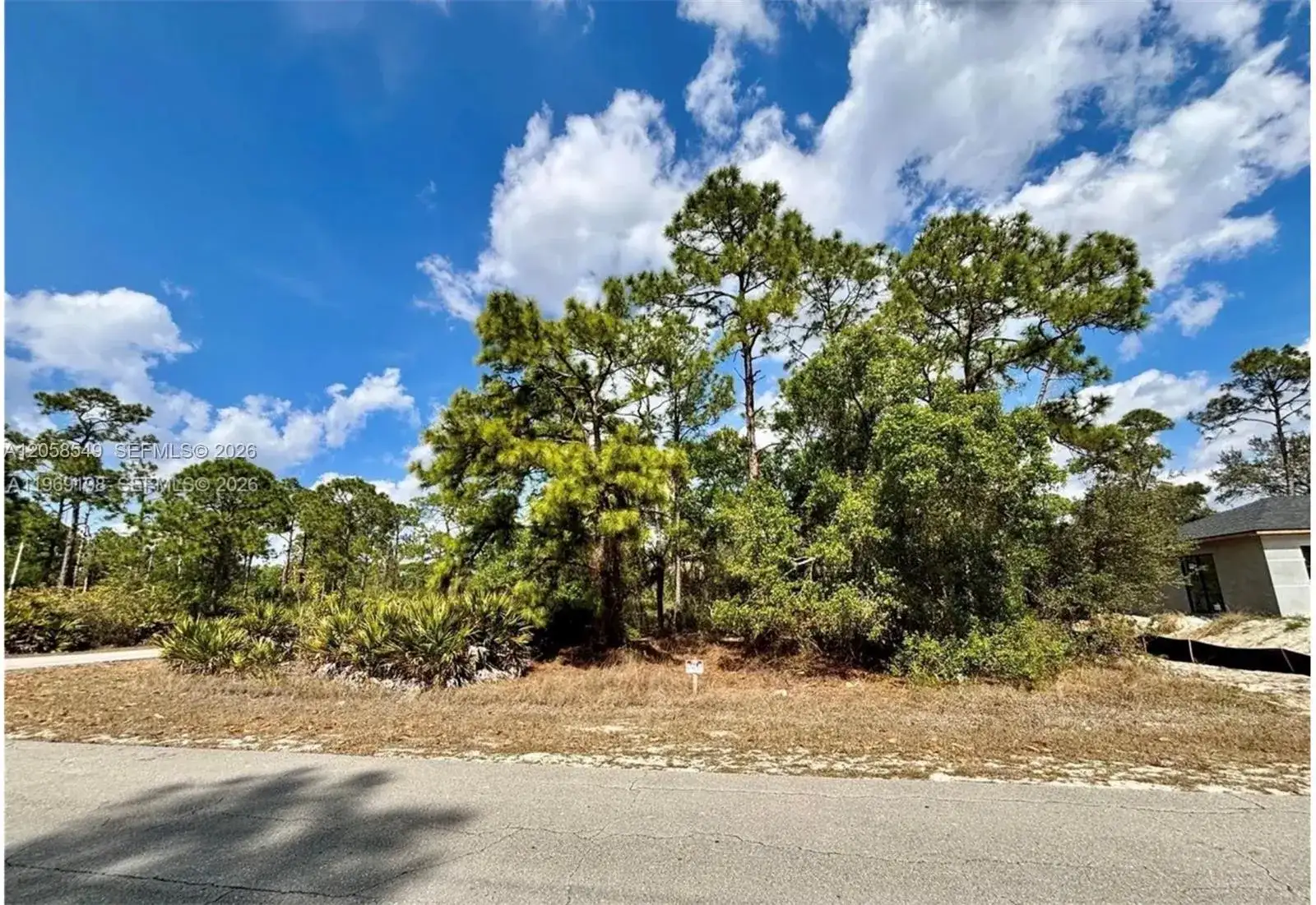 901 E 17th St, Lehigh Acres FL 33972 photo 5