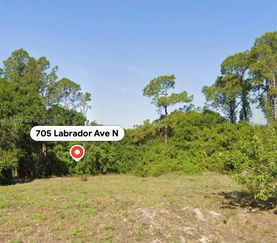 705 LABRADOR AVE N, Lehigh Acres FL 33971