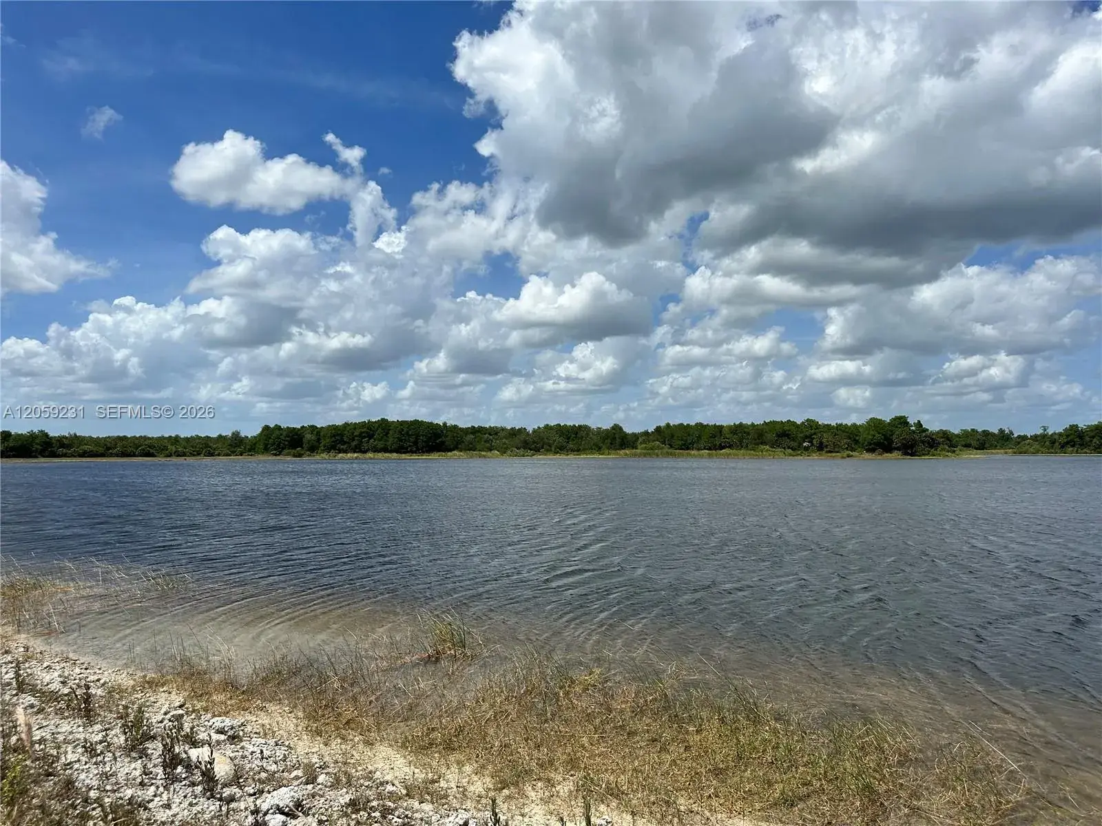 515 Shady hollow blvd W, Naples FL 34120