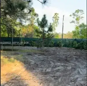 640 S Live Oak St, Clewiston FL 33440 photo 2