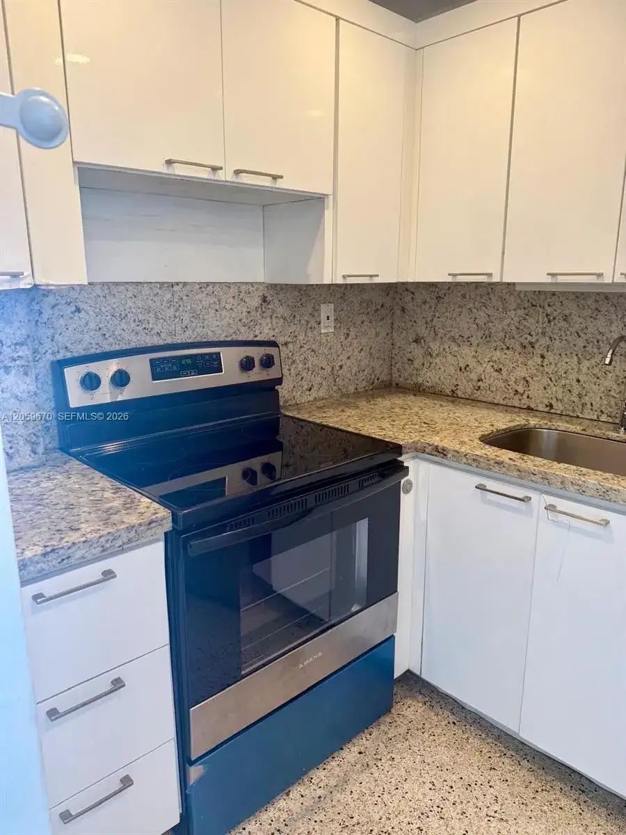 1736 SW 19th St # 404, Miami FL 33145 photo 4