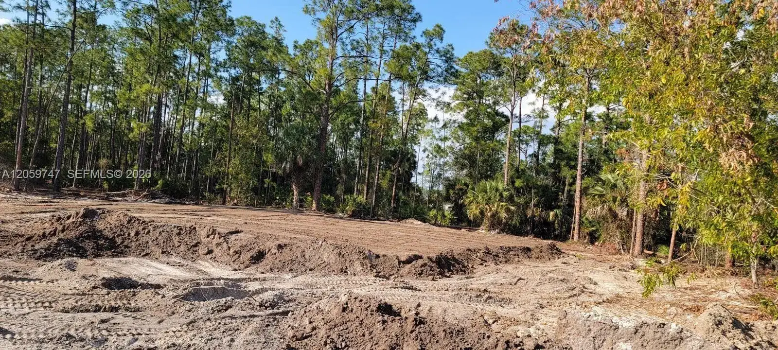 1305 E E 11 St, Lehigh Acres FL 33972 photo 4