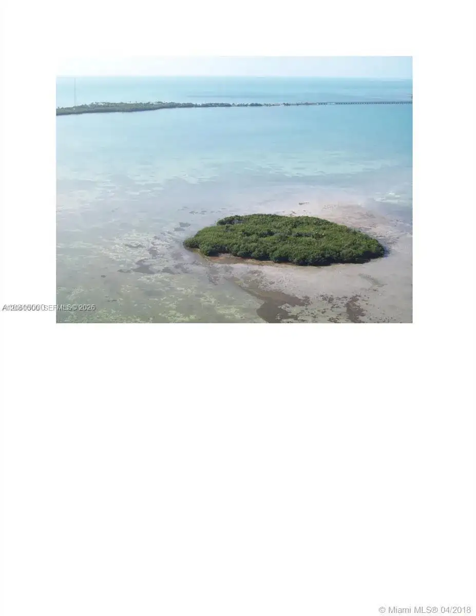 99 Don Quixote Key Big Pine Key, Big Pine FL 33043 photo 2