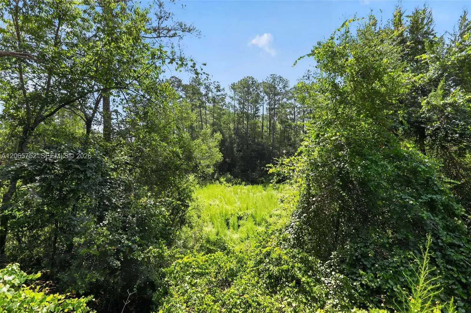 119 Ramsey dr, Other City - In The State Of Florida FL 32666 photo 3