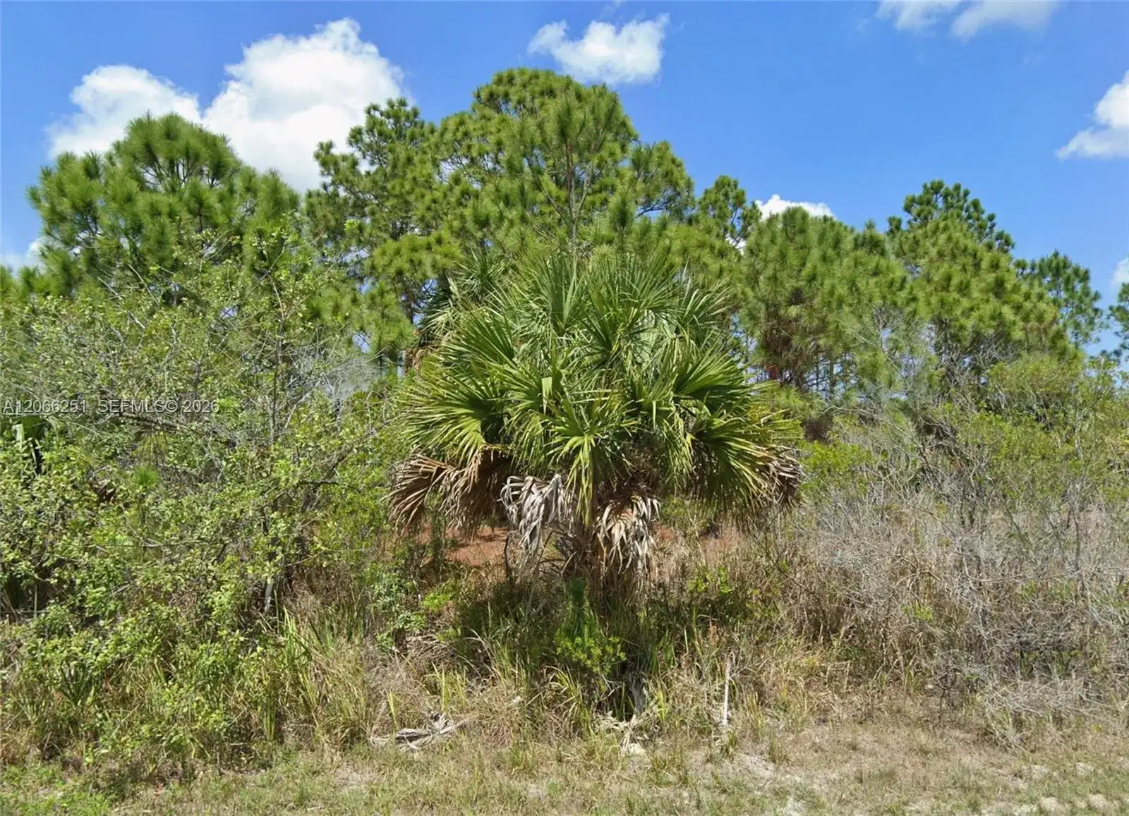 740 SW Opal, Palm Bay FL 32908 photo 4