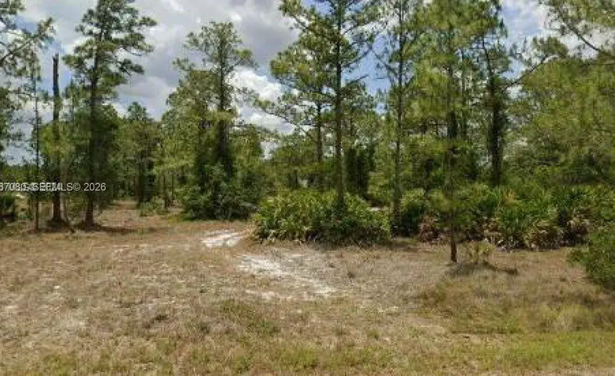 2321 Macarthur Ave, Lehigh Acres FL 33920