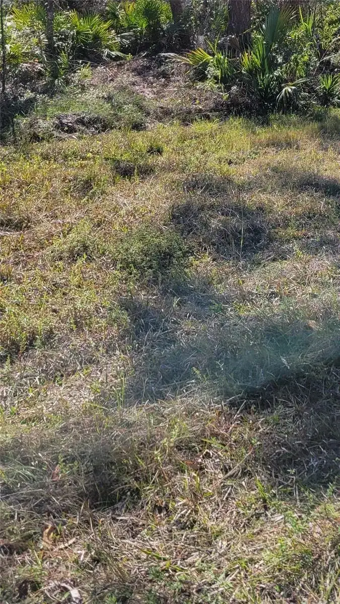 14165 chamberlain, Port Charlotte FL 33953 photo 4