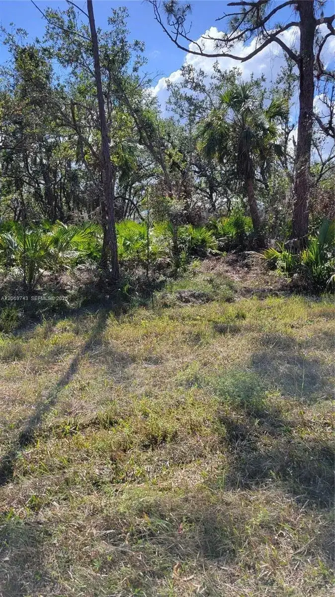 14165 chamberlain, Port Charlotte FL 33953 photo 5