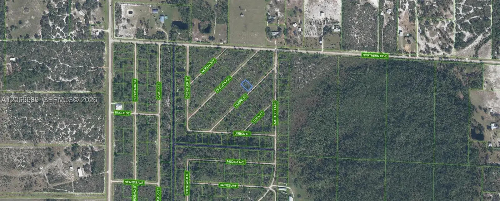 3517 HORNE STREET, Lake Placid FL 33852 photo 2