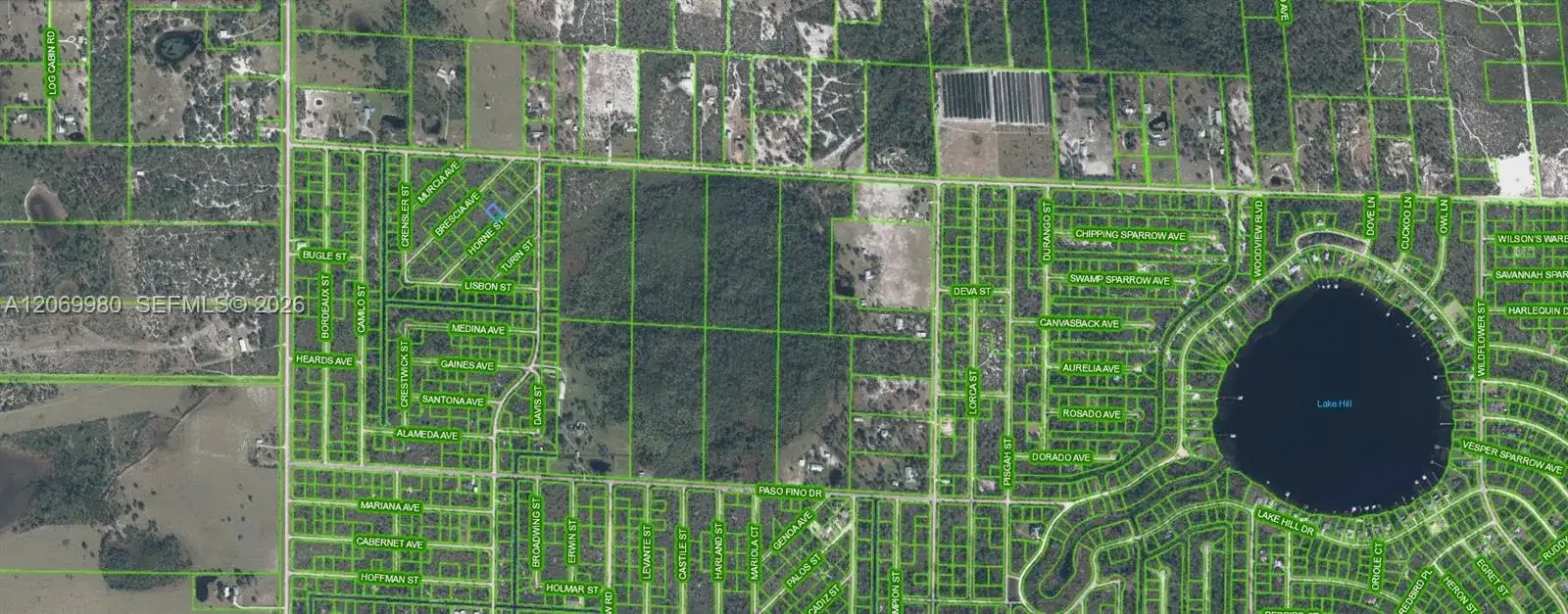 3517 HORNE STREET, Lake Placid FL 33852 photo 3