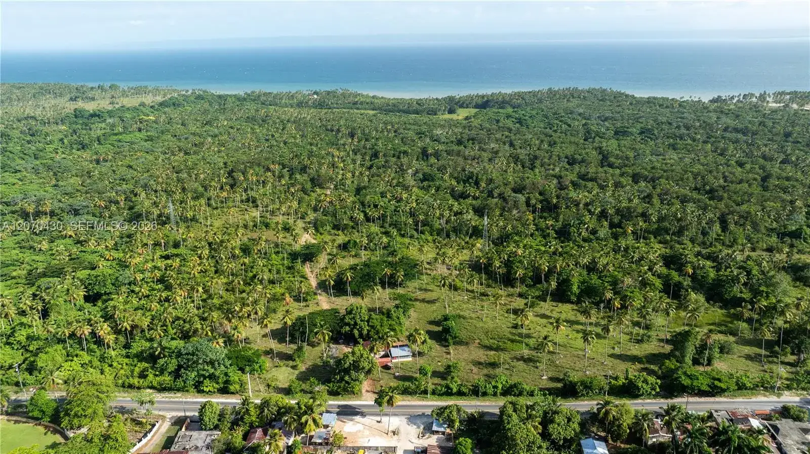 SAMANA, FL photo 3