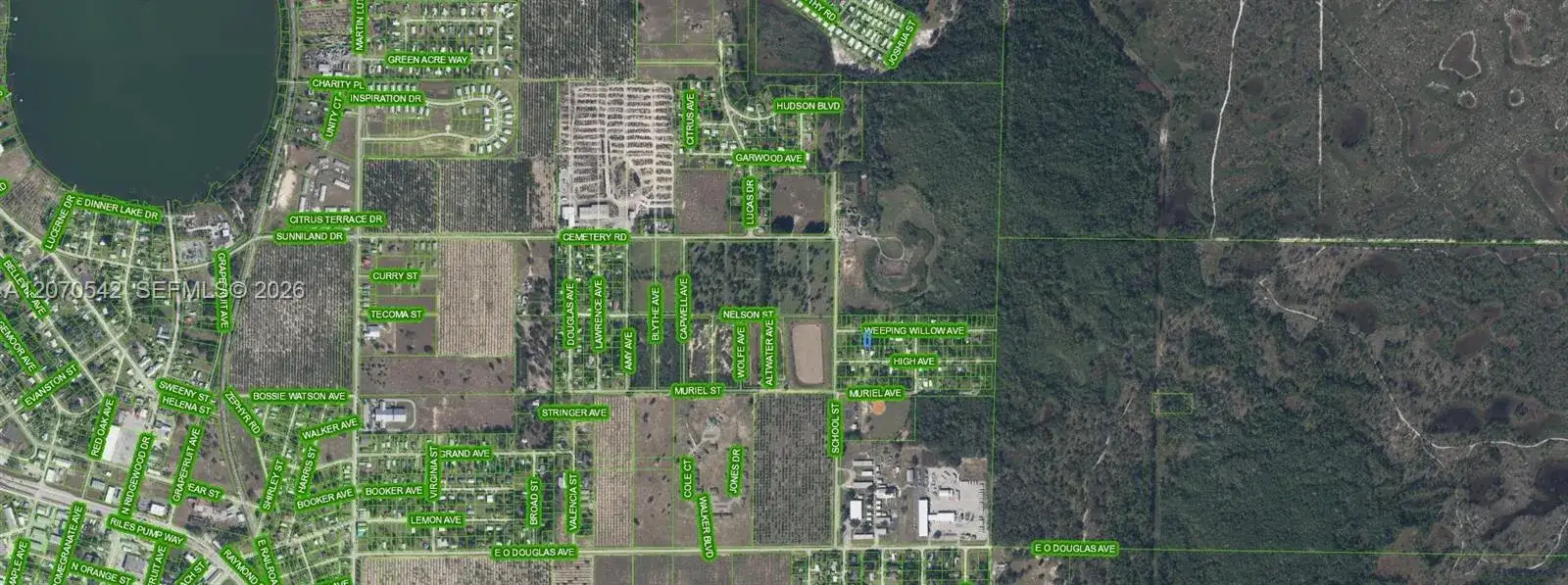 4527 Weeping Willow, Sebring FL 33870 photo 3