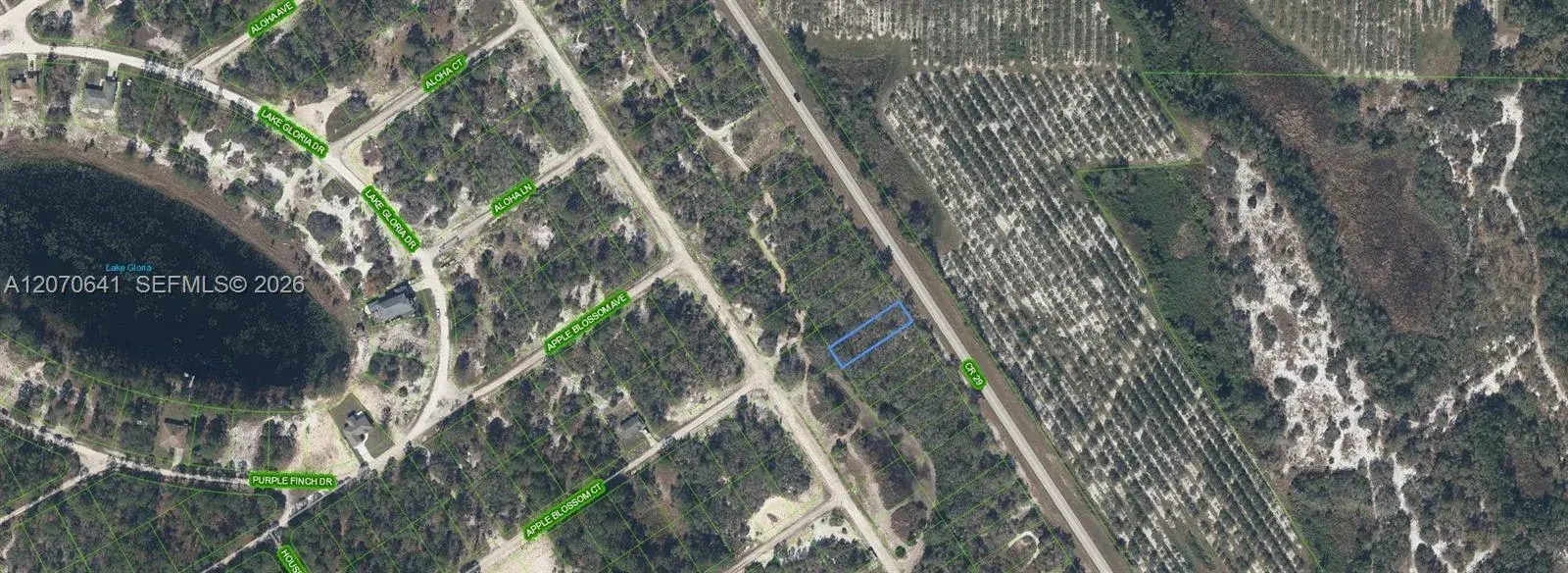 903 COUNTY ROAD 29, Lake Placid FL 33852
