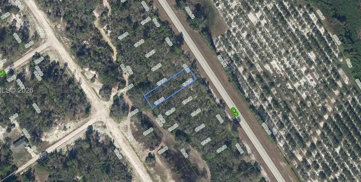 903 COUNTY ROAD 29, Lake Placid FL 33852