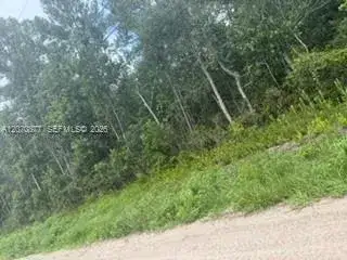 00 Range Line, Other City - In The State Of Florida FL 32068 photo 4