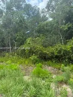 00 Range Line, Other City - In The State Of Florida FL 32068 photo 5