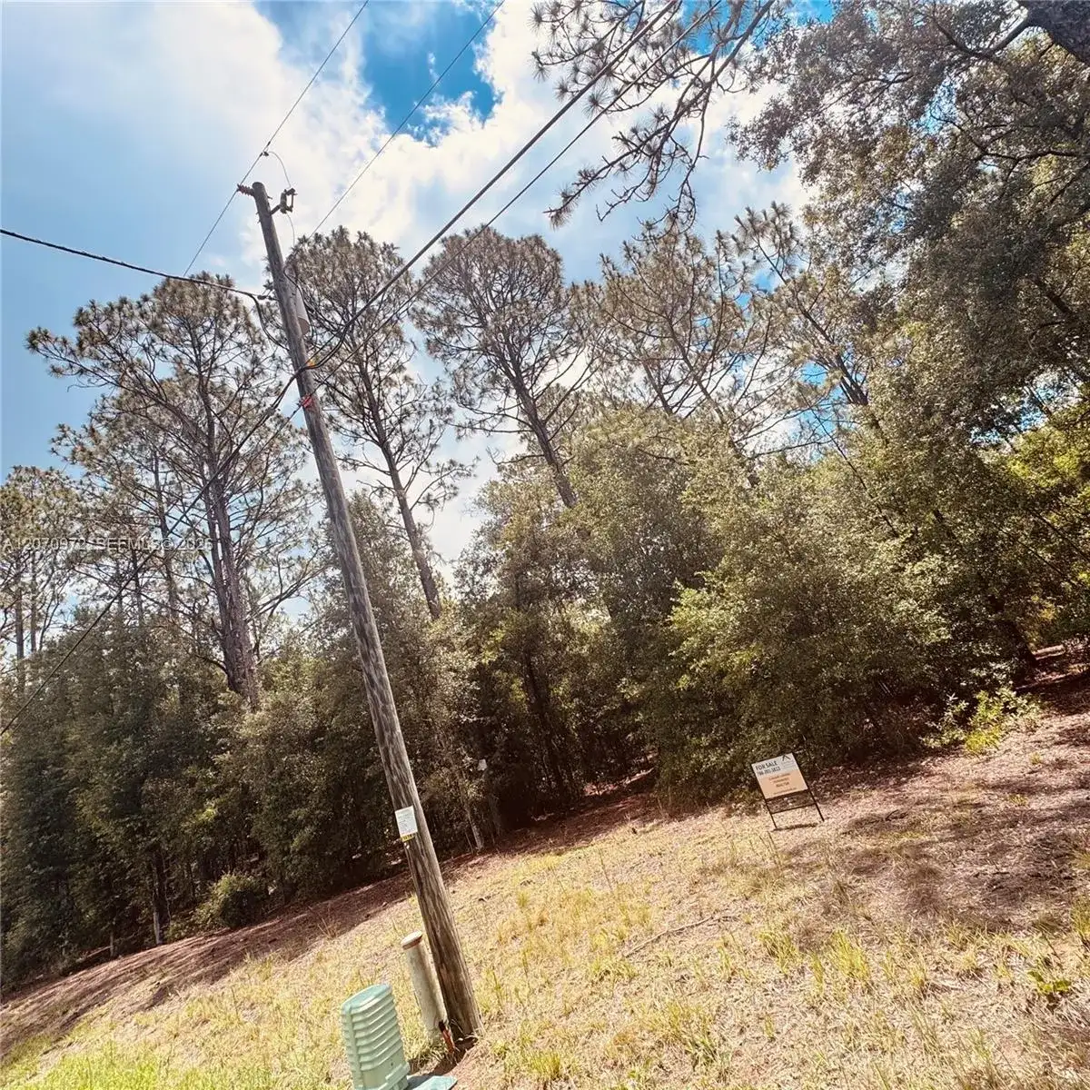 Undetermined SW 54 Street, Other City - In The State Of Florida FL 34431 photo 4