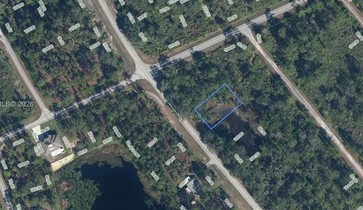 615 Wildflower Street, Lake Placid FL 33852