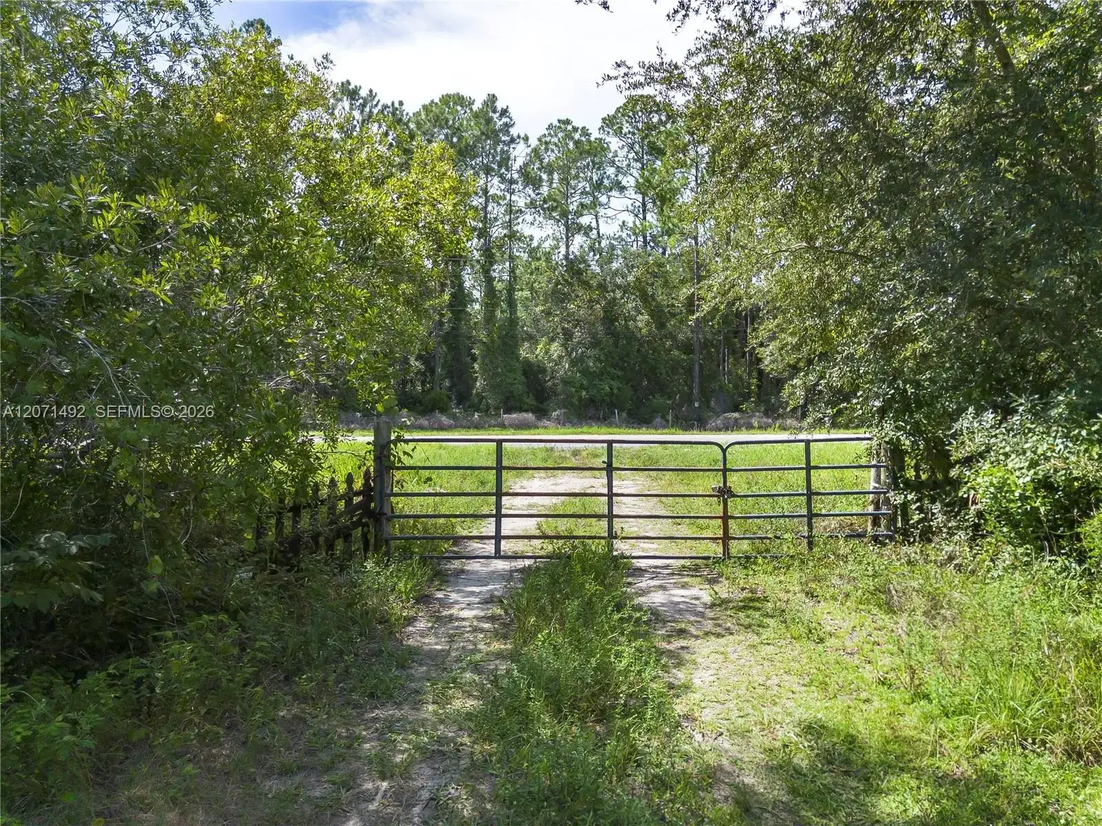 1369 Water Oak, Other City - In The State Of Florida FL 32110 photo 5