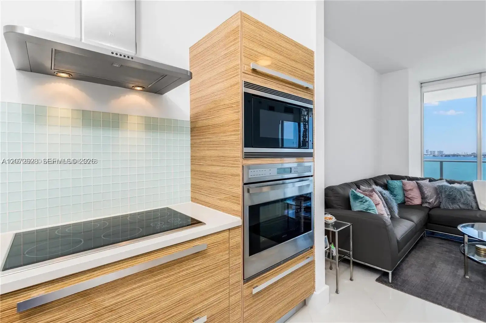 2020 N Bayshore Dr # 1009, Miami FL 33137 photo 4