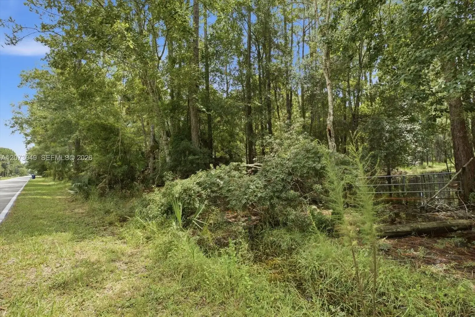 Lot 133 Green Willow Run, Other City - In The State Of Florida FL 33544 photo 4