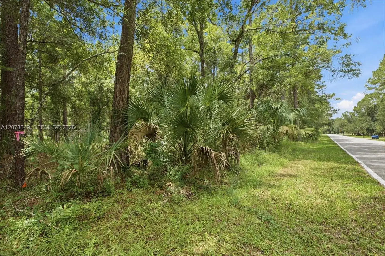 Lot 133 Green Willow Run, Other City - In The State Of Florida FL 33544 photo 5
